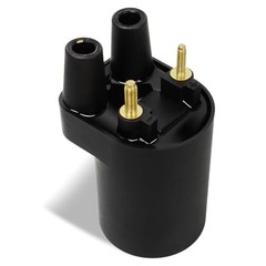Ignition Coil for Onan P218G P220G P224G Engines, fits 316 317 318 420