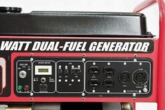 All Power 10,000-W Portable Dual Fuel Gas Powered Generator with Electric Start