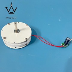Mini Disc Generator Coreless Generator Permanent Magnet Brushless Motor