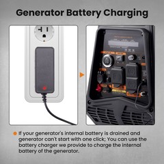 3500 Watt Dual Fuel Gas/LPG Electric Start Inverter Generator with CO Alert
