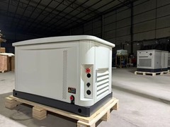 Air Cooled Dual Fuel Natural Gas LPG Home Standby Generator