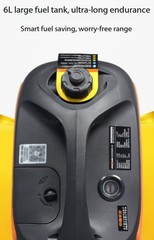 Low-Noise Gasoline Generator for Outdoor Camping, 220V, Small Household Inverter