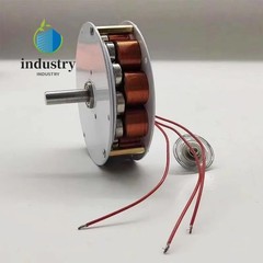 50W 24V High-Magnetic Multi-Pole Three-Phase AC Iron-Core Generator