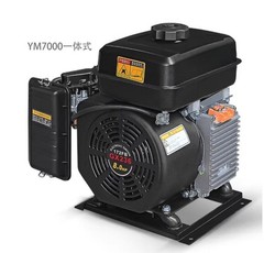 Electric Vehicle Range Extender Four-Cylinder 48V Inverter Gasoline Generator