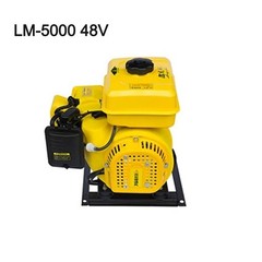 Variable Frequency Electric Vehicle Range Extender Gasoline Generator