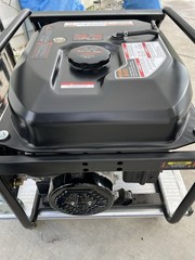 WEN 8000W Portable RV Ready Dual Fuel Generator Electric Start CO Sensor