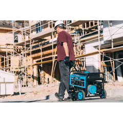 Pulsar Products 5250 Starting / 4250 Running Watt Gasoline/Liquid propane Dual