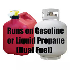 4,000/3,500-Watt Recoil Start Dual Fuel Gasoline Propane Portable Generator with