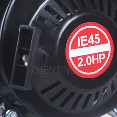 Miniature Small Gasoline Generator 220V Mini Handheld Portable Manual Generator