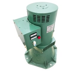 Hydroelectric Generator Auto Regulated Excitation Water Pelton Turbine 220V 10KW