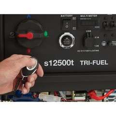 Powerhorse Portable Tri-Fuel Generator with Electric Start, 12,500 Watts