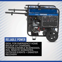 Powerhorse Dual Fuel Generator, 15,000 Surge Watts, 12,000 Rated Watts, CO