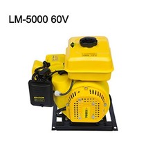 Variable Frequency Electric Vehicle Range Extender Gasoline Generator