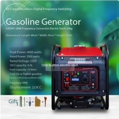 Small 220V AC Portable Gas Generator for Home and Commercial Use, High Power