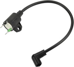 New Ignition Coil Compatible with Harbor Freight Chicago Electric Storm CAT 6…