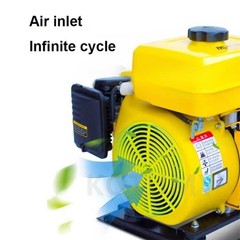 Electric Car Tricycle Inverter Range Extender Petrol Generator 48V/60V/72V