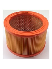 Generac Genuine OEM Replacement Air Filter – 0G5894