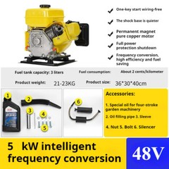 Gasoline Generator Two-wheeled Tricycle Electric Vehicle Range Extender 48V60v