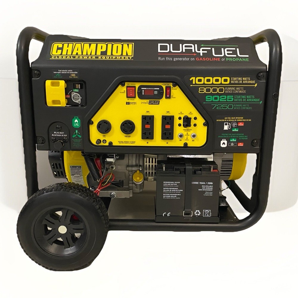 Champion 100297 Dual Fuel Portable Generator with Electric Start – Bag Included