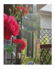 DYMBOX Smoke generator 2,3 l with ashtray, generator for smoking, !!!!!!