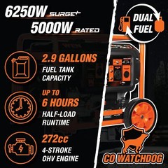 WEN 6,250-W Portable Dual Fuel Gas Powered Generator, Electric Start, CO Sensor