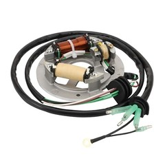 Generator Magneto Ignition Stator Coil Replacement for 6R8-85560-10-00 62T