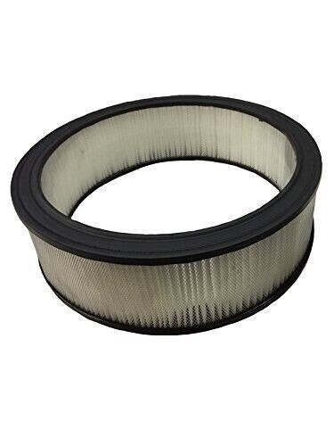 Generac 0F5419 Air filter