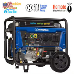 Tri-Fuel Portable Generator with Transfer Switch Outlet Remote Start & CO Sensor