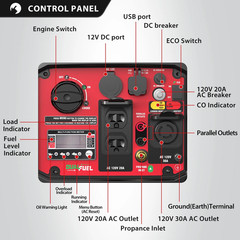 Powersmart Portable Equipment 3800-Watt Dual Fuel Manual Start with CO Detect