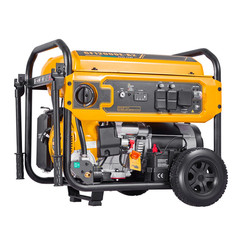 Portable Dual Fuel Generator, 13500W Gasoline & 12000W LPG Peak Power