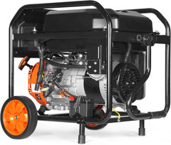 8000-Watt Dual Fuel Portable Generator Electric Start CO Shutdown