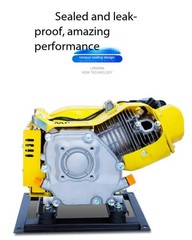 Variable Frequency Electric Vehicle Range Extender Gasoline Generator