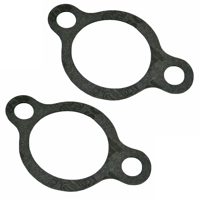 Homelite 2 Pack Of Genuine OEM Replacement Inlets 17002-Z100110-2PK