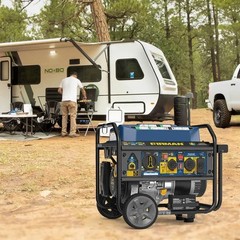 FIRMAN INVERTER ELECTRIC GENERATOR DUAL FUEL PORTABLE MOTORHOME RV 2900 WATT NEW