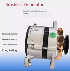 Agricultural Vehicle 12V = 14V 24V = 28V Generator 1000W 1500W High Power