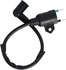 New Ignition Coil Compatible with Harbor Freight Chicago Electric Storm CAT 6…