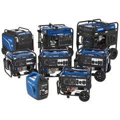 Powerhorse Portable Dual Fuel Generator, 4500 Watts