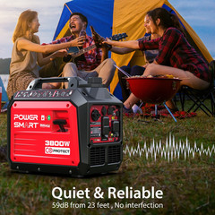 Powersmart Portable Equipment 3800-Watt Dual Fuel Manual Start with CO Detect