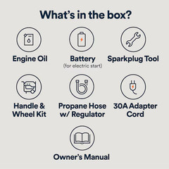 Generac 8250/6700 Watt Dual Fuel Portable Generator Gas & Propane
