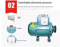 220V Permanent Magnet Brushless Generator Voltage Regulator Excitation Generator