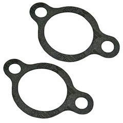 Homelite 2 Pack Of Genuine OEM Replacement Inlets 17002-Z100110-2PK