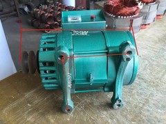 Alternator 3000W Single-phase Pocket Brushless 220V 50HZ/3000rpm Generator