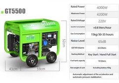 3500W/4000W/4200W Dual-Start Multi-Fuel Portable Gasoline Generator 220V