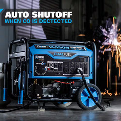 Pulsar PG13000BRCO 13000-Watt Dual Fuel Portable Generator