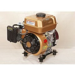 Electric Start Tricycle Four-Wheel Gasoline Generator Range Extender 3kW 48V-72V