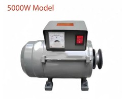 Permanent Magnet Brushless Generator with Voltage Regulator, Pure Copper Winding