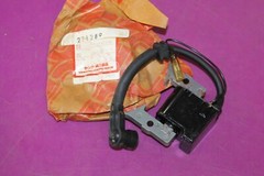 NOS Yanmar McCulloch Power Pro 600E/Power Pac 800E Generator Igniter. Mac 221289