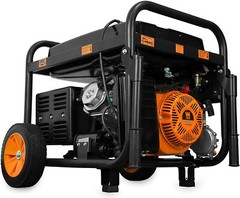 WEN 11,000-W Portable RV Ready Dual Fuel Powered Generator with Electric Start