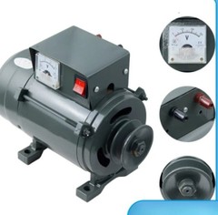 Belt-driven 220V Diesel Engine 1000W Lighting Generator with Small Engine