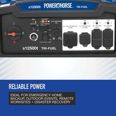 Powerhorse Portable Tri-Fuel Generator with Electric Start, 12,500 Watts